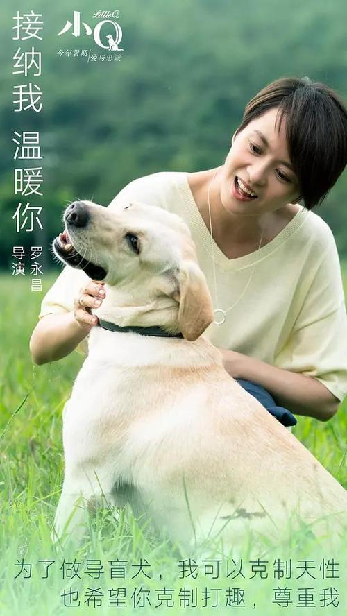德克萨斯地址证明怎么买高仿
